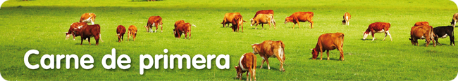 CARNE DE PRIMERA