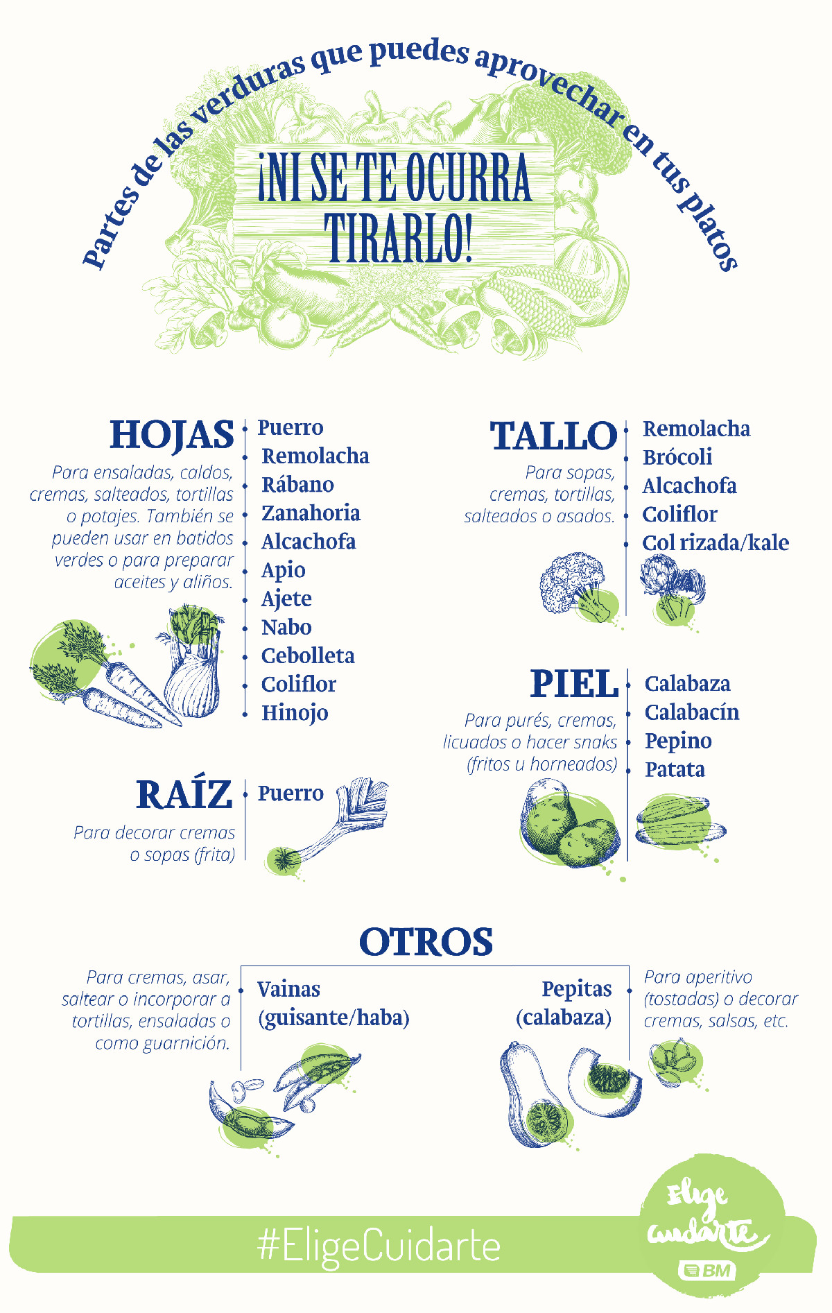 Partes de las verduras que puedes usar en tus platos