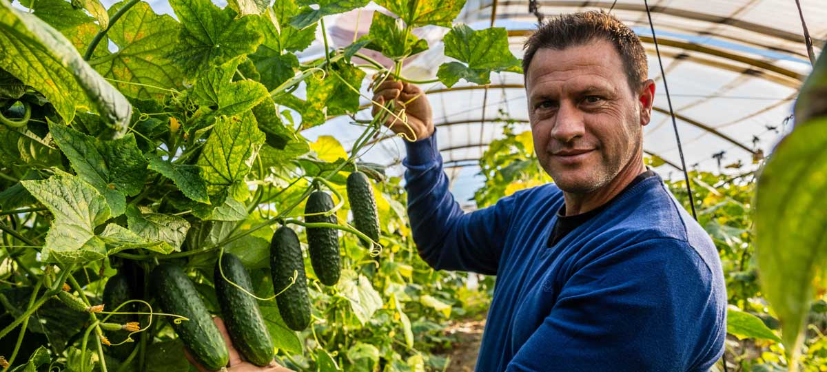 Jose Antonio Herrero – Agricultor