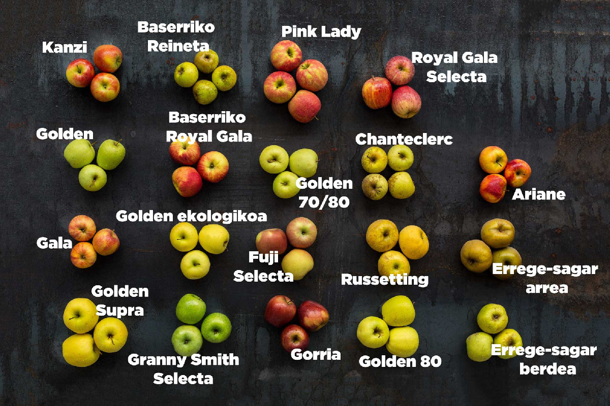  Mujeres en primera l&iacute;nea 