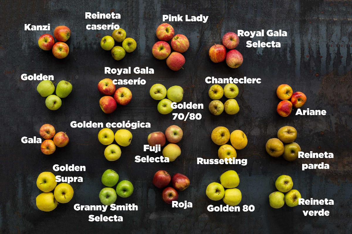 Mujeres en primera línea Mujeres en primera línea