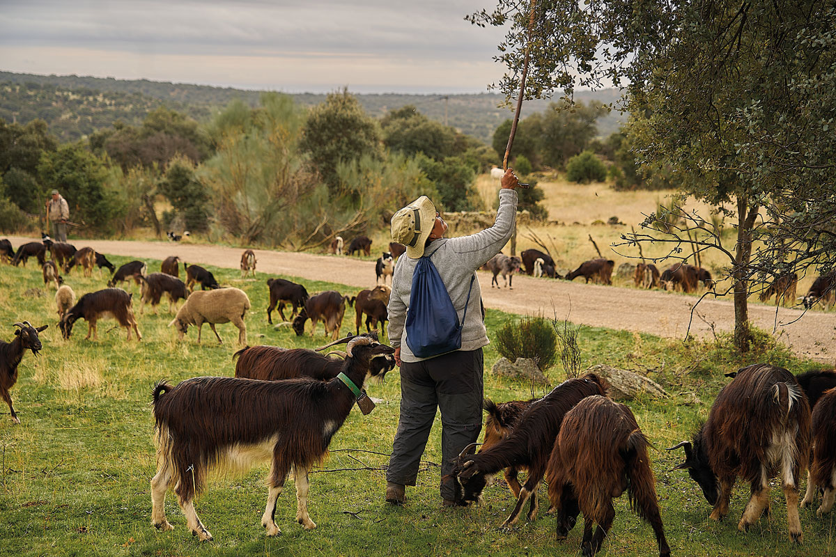 La Hermita - Cantabria