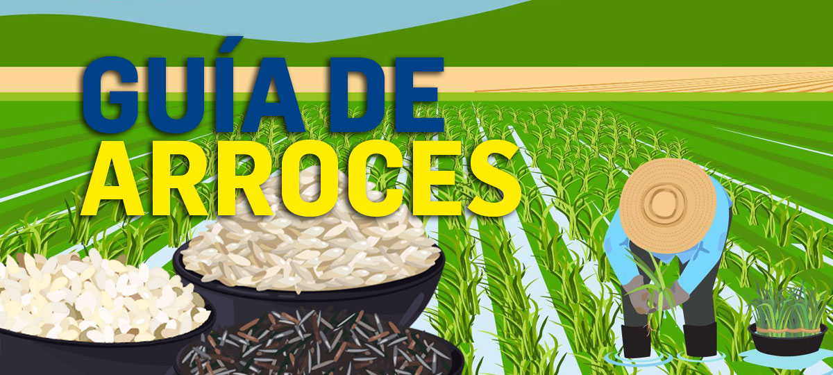 Arroces del mundo y cÃ³mo usarlos bien