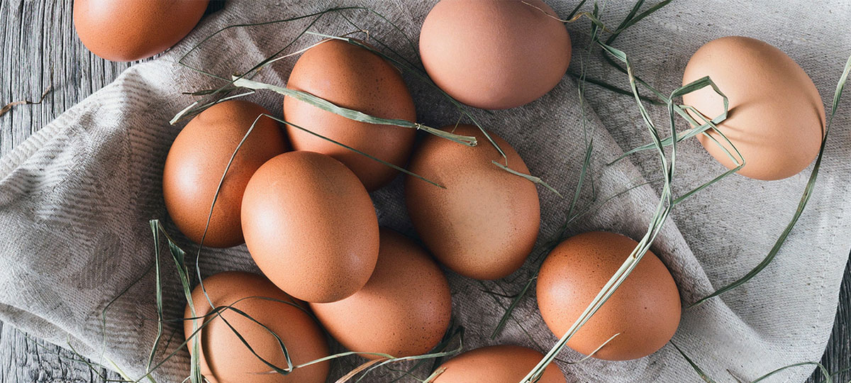 Huevos ecológicos: saludables esferas de sabor y calidad