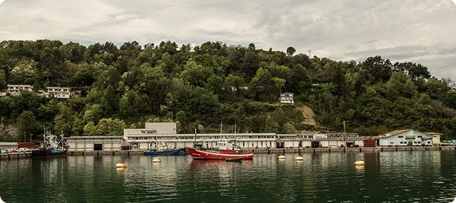 B de la CofradÃa de Hondarribia