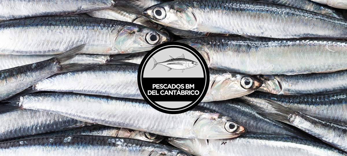 Anchoa