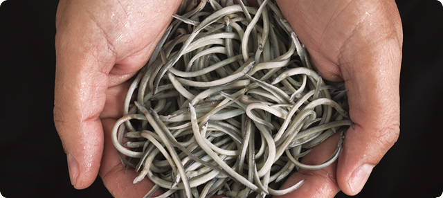 Betiko angulak, inoiz ez bezala