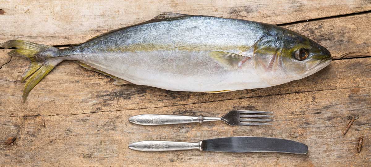 1. argazkia