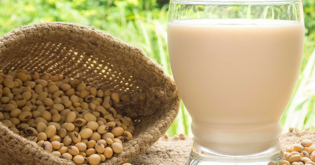 Bebidas vegetales: proteÃ­nas de mayor calidad en cada trago