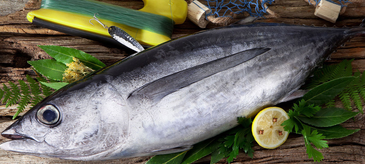 Producto temporada Bonito del Norte: el pescado que te llevarÃ­as a una isla desierta
