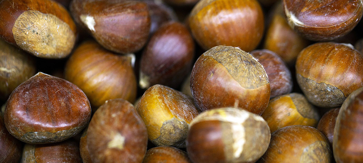 1. argazkia