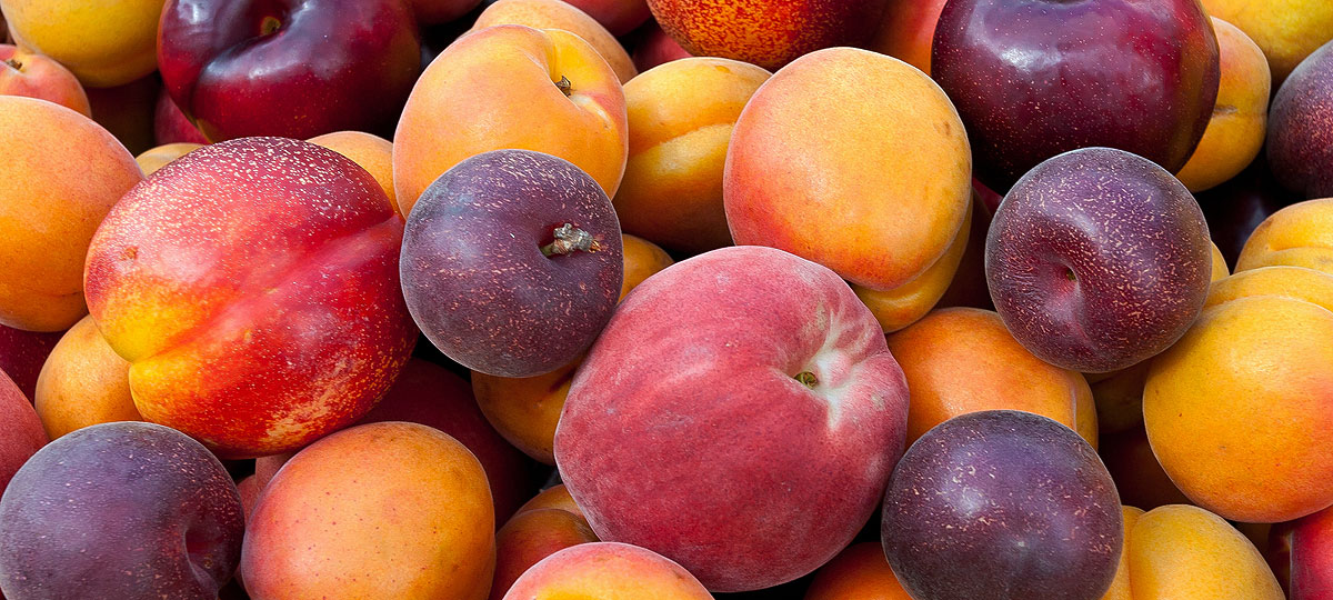 El verano tambiÃ©n es sinÃ³nimo de frutas de hueso