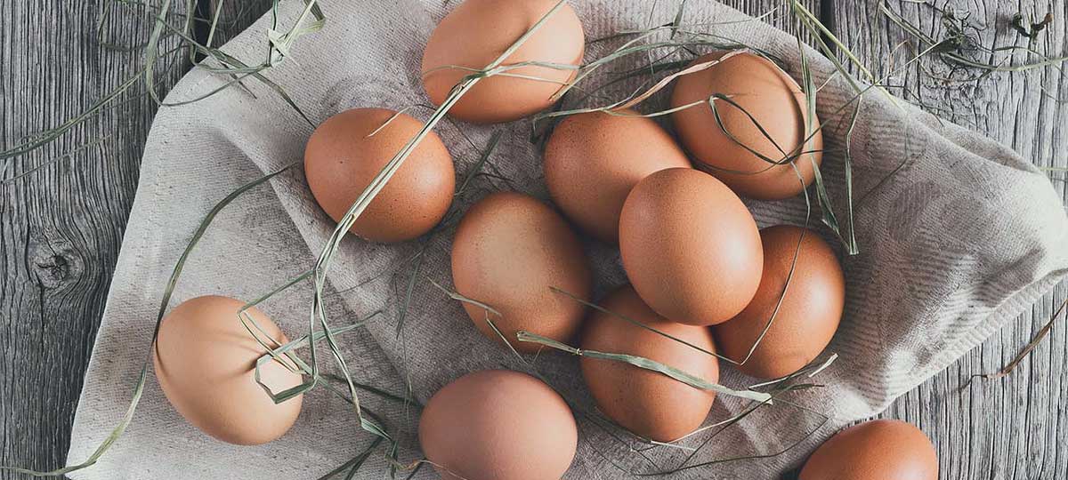 Compromiso con el bienestar animal: apostamos por los huevos de gallinas libres de jaulas