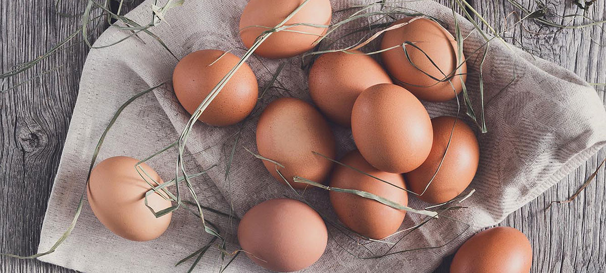 Huevos de gallina, ¿conoces las diferencias?