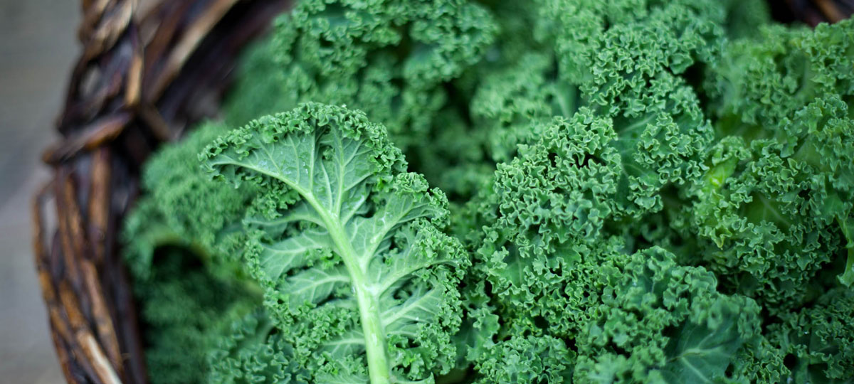 Kale: Â¿quÃ© es y por quÃ© se ha puesto de moda?
