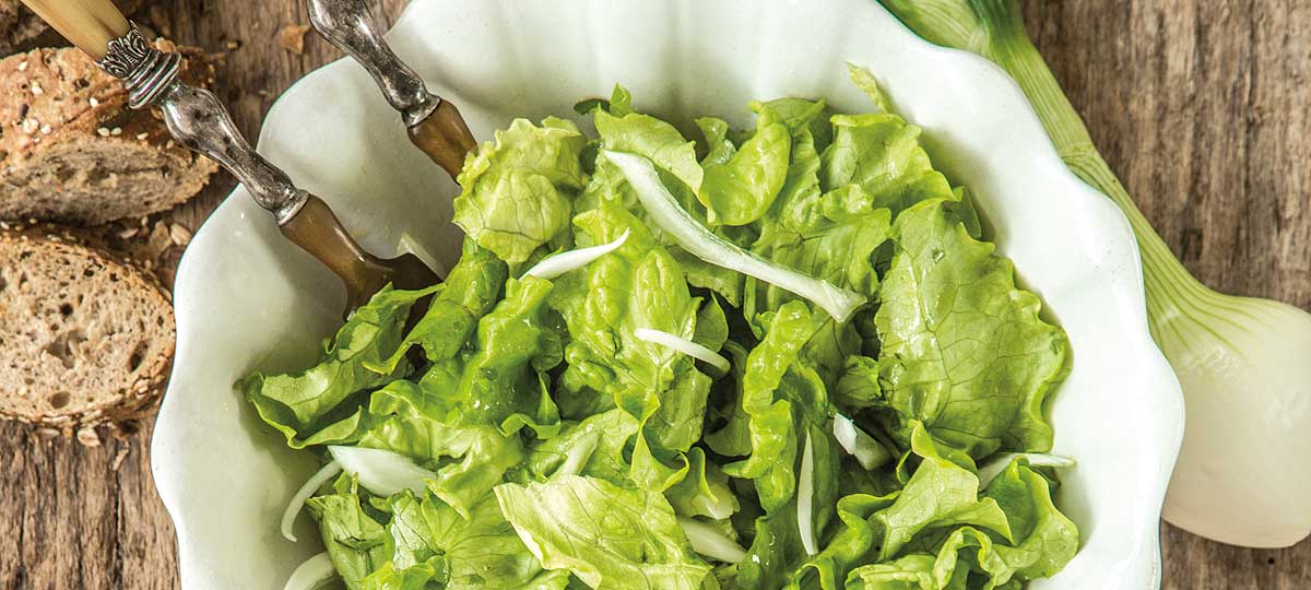 Lechuga fresca o envasada: una apuesta segura para tu alimentaciÃ³n