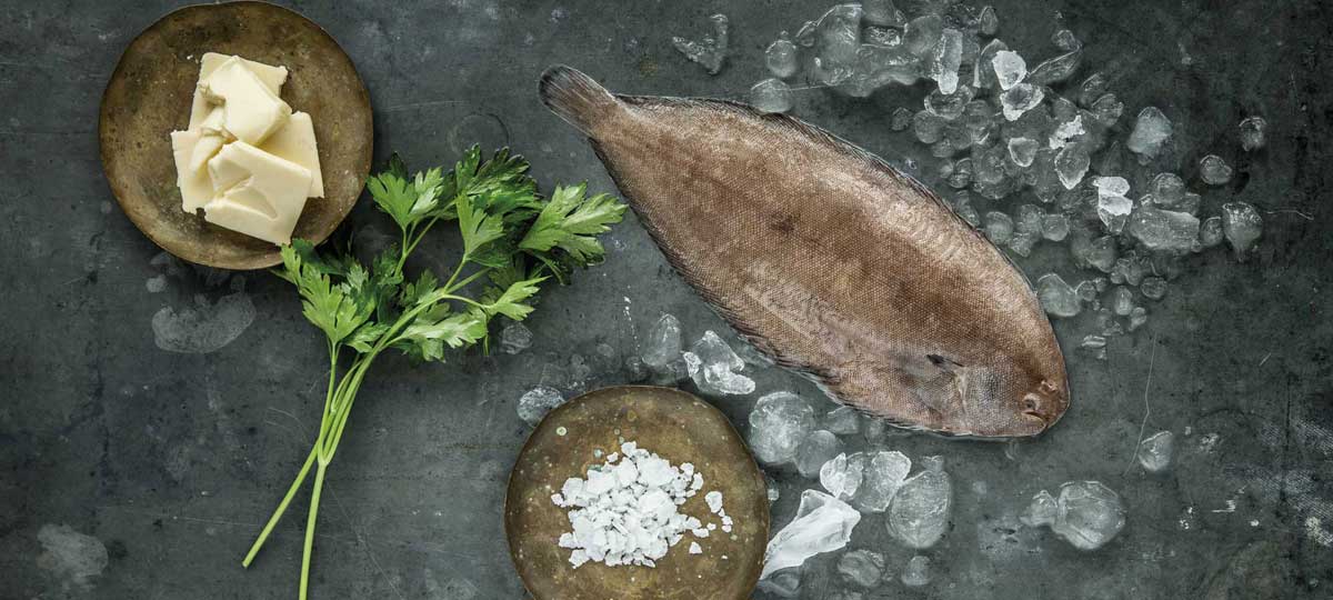 Besugo, lubina y lenguado al horno: Â¡sigue aprovechÃ¡ndolos tras las fiestas!
