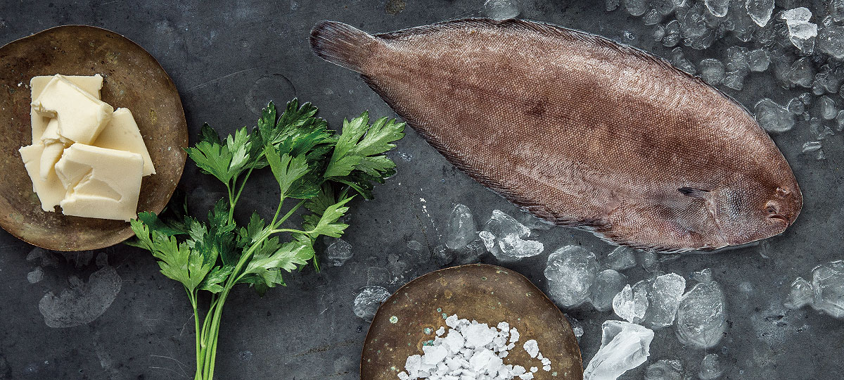 Lenguado: versatilidad y sabor en uno de los pescados mÃ¡s codiciados