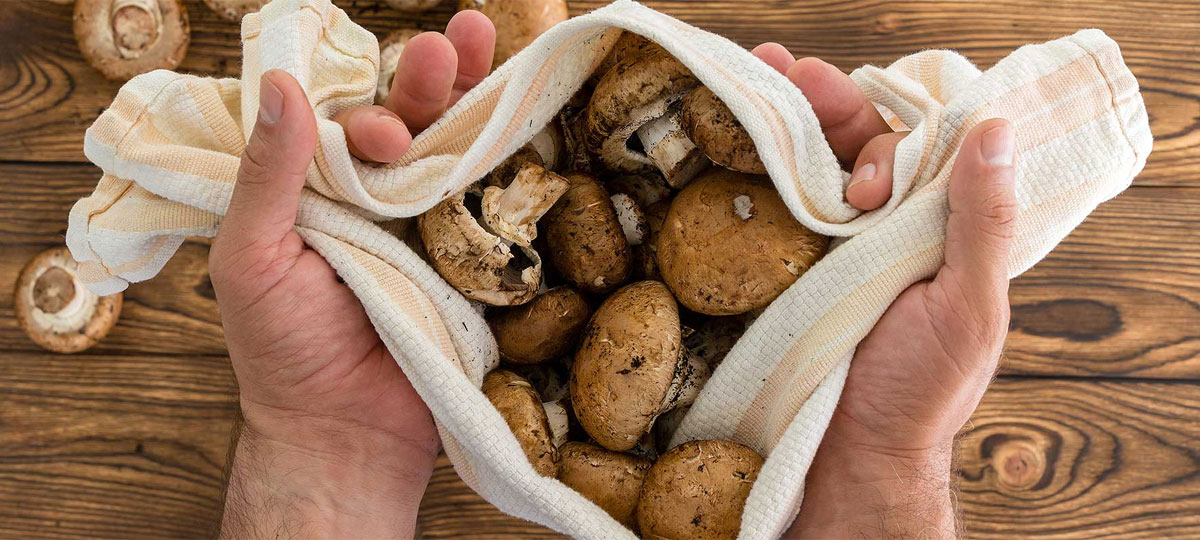 Â¿Sabes cÃ³mo limpiar correctamente los hongos?