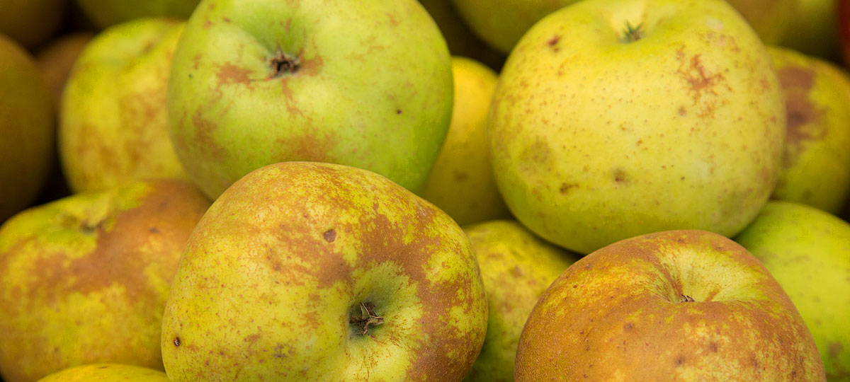 Manzana, la fruta trending topic: 8 tips caseros para sacarle todo el jugo