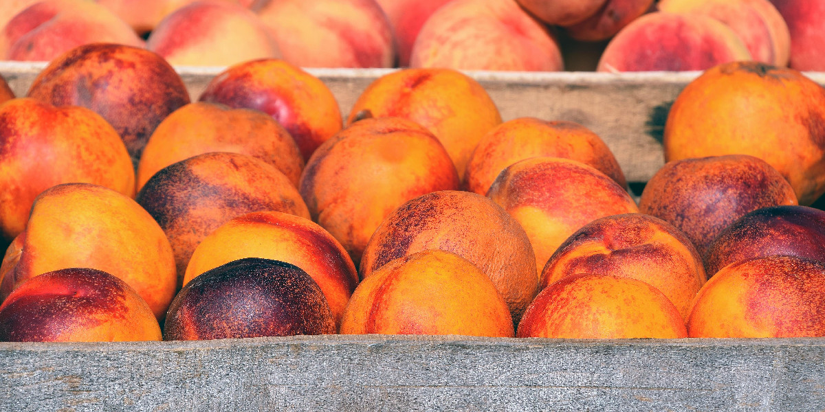 Frutas de hueso: cÃ³mo elegir melocotones, nectarinas y paraguayos en su punto