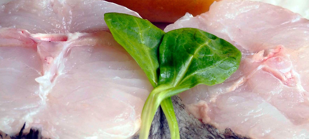 Â¿Por quÃ© es bueno comer merluza del CantÃ¡brico tres veces a la semana?