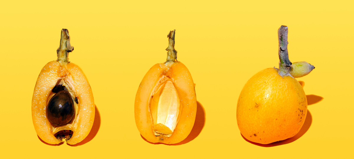 Todo lo que debes saber sobre el nÃ­spero: la fruta primaveral desconocida