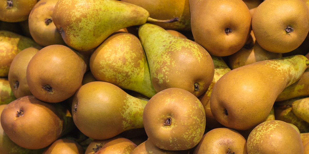 El otoÃ±o esâ¦ pera: dulzura natural en el momento perfecto