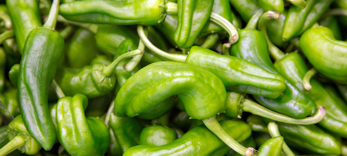 ¡Y un pimiento! Dulce o picante, te sacará de más de un apuro en la cocina