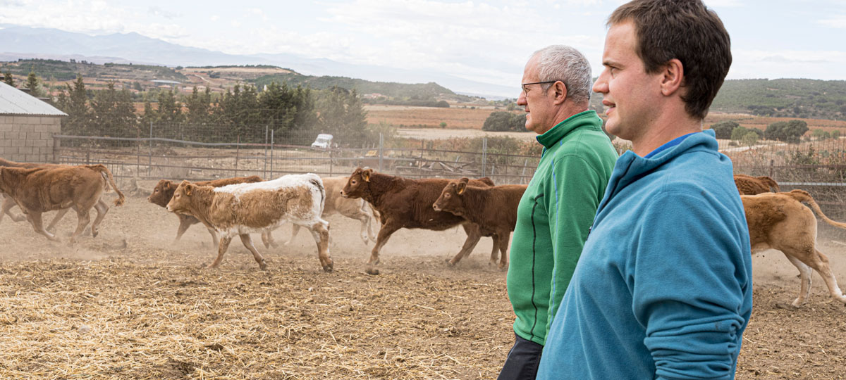 Navidad juntos: La ganaderÃ­a es vocacional, es una pasiÃ³n