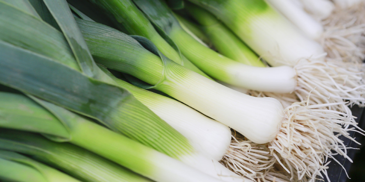 Â¡Y un puerro! Por quÃ© deberÃ­as darle mÃ¡s protagonismo en tu cocina de invierno