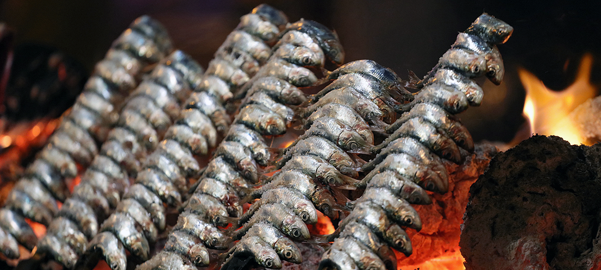 Pescados para abrir boca a las puertas del verano