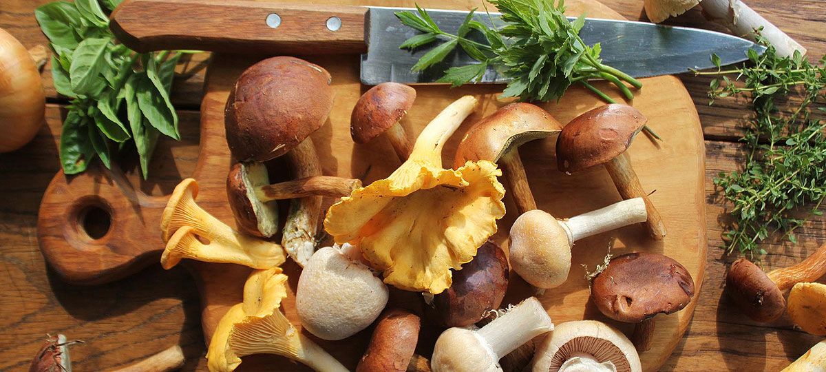 Cocina con setas y champiÃ±ones, un placer de otoÃ±o