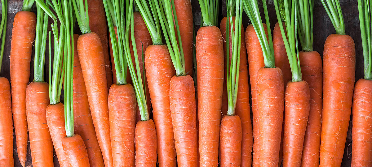 DÃ­a Mundial de las Zanahorias: rinde culto a esta hortaliza imprescindible