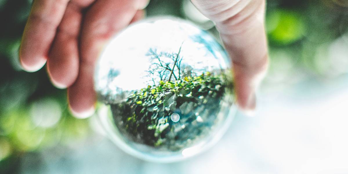 Uvesco, primera empresa de distribuciÃ³n que logra el certificado de EconomÃ­a Circular de AENOR