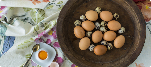 Los huevos tienen alto contenido en proteÃ­nas, lÃ­pidos, agua y minerales