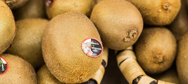 Kiwi de caserÃ­o y de temporada