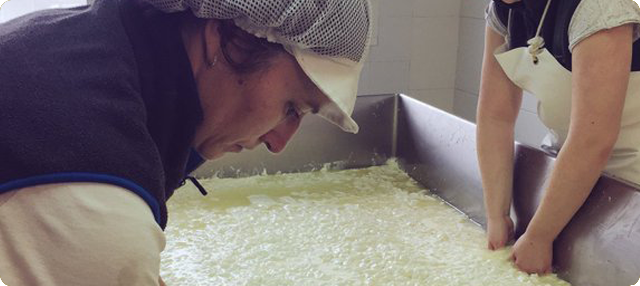 ElaboraciÃ³n de quesos de Cantabria