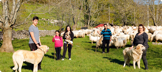 Ongi etorri baserrira