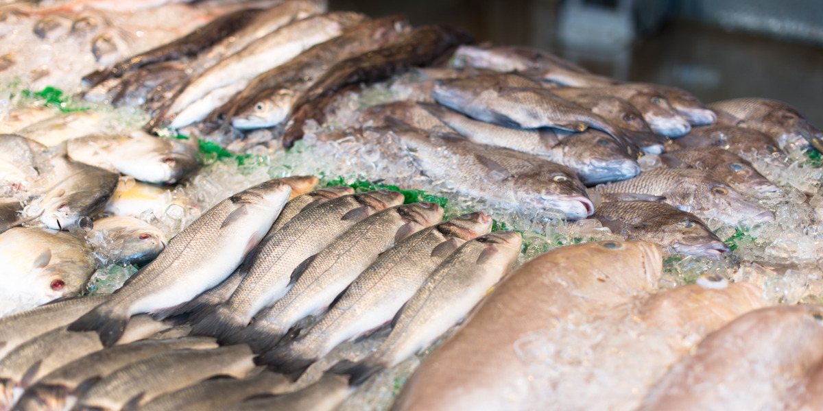 CÃ³mo elegir pescado fresco en el supermercado: claves que sÃ­ funcionan