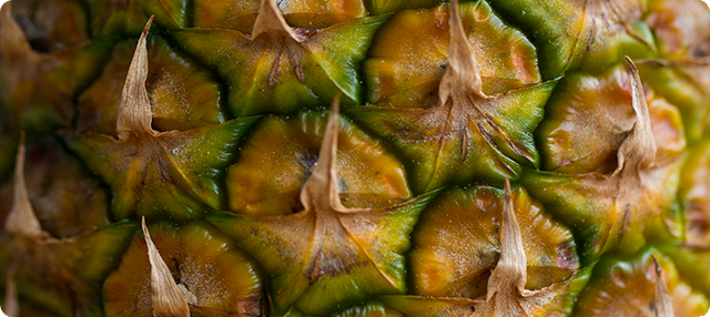1. argazkia