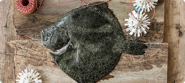 Rodaballo, un pescado sabroso y saludable