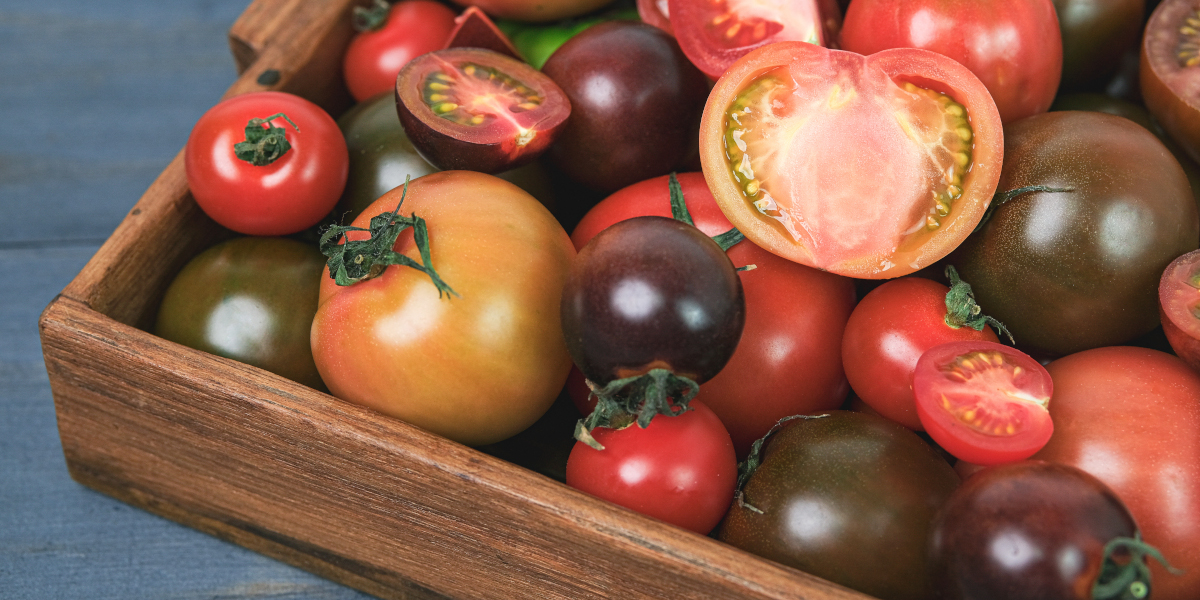 Tomate: cÃ³mo elegirlo bien ahora que empieza su mejor momento