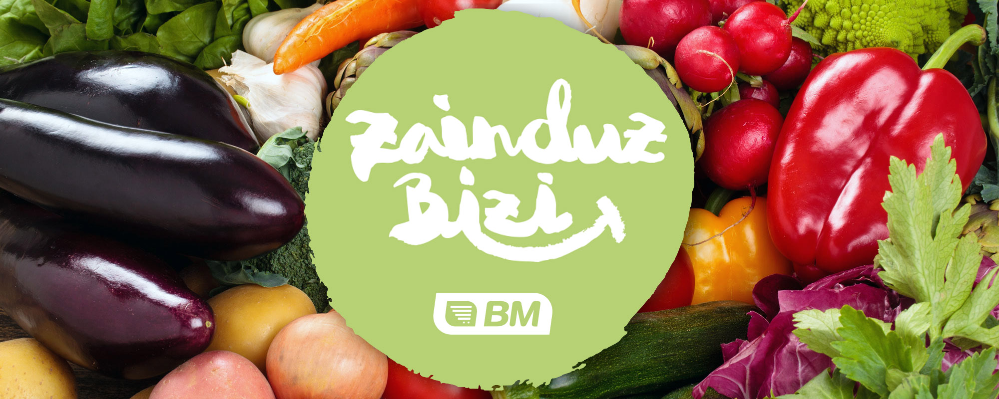 ZAINDUZ BIZI